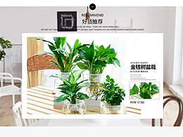 绿植画册类