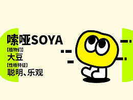 IP設(shè)計(jì)——Soya