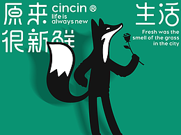 品牌全案