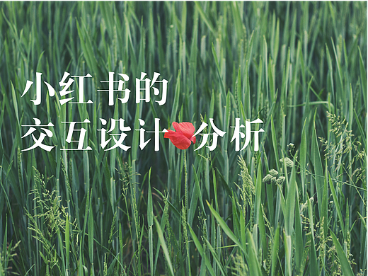 何以至简：小红书的交互设计分析