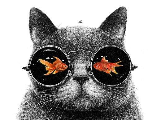 OY手绘：钢笔画猫 合集