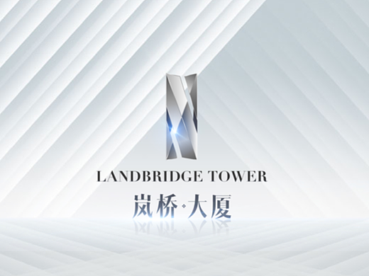 岚桥大厦-vi系统白金