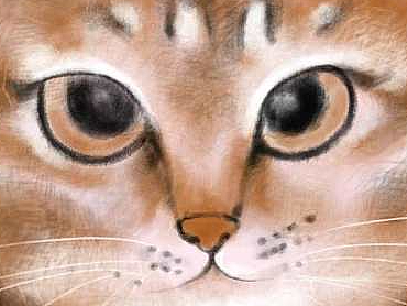 Orange橘色,金色,粉色