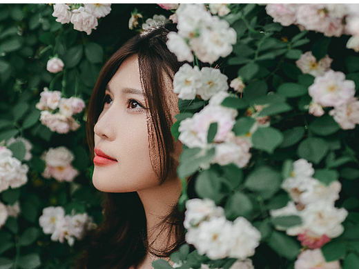 又是一年蔷薇花