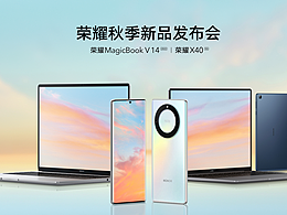 SI设计