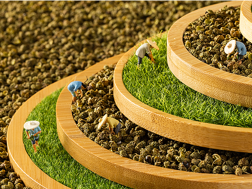 诗腾花椒｜金阳青红花椒甘肃大红袍香辛料佐料创意摄影