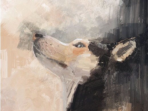 动物创作-我的哈士奇