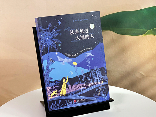 书籍设计 | 《从未见过大海的人》