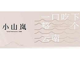 品牌全案设计|LAN云南山野菜