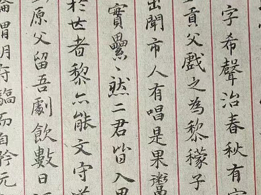 临祝允明,东坡游记