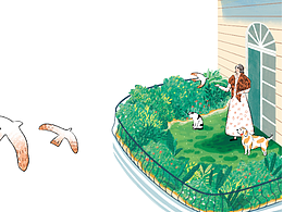 一些插畫圖總結(jié)