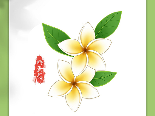鸡蛋花