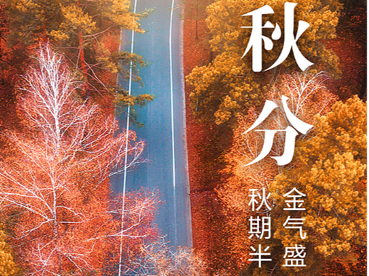 二十四节气海报