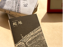 书籍装帧(小说)