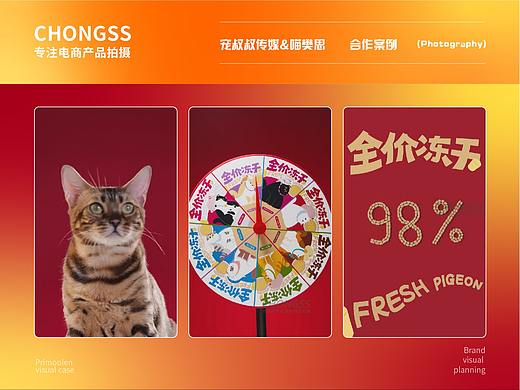 宠物冻干 | 喵梵思 | 电商视频 | 宠叔叔传媒