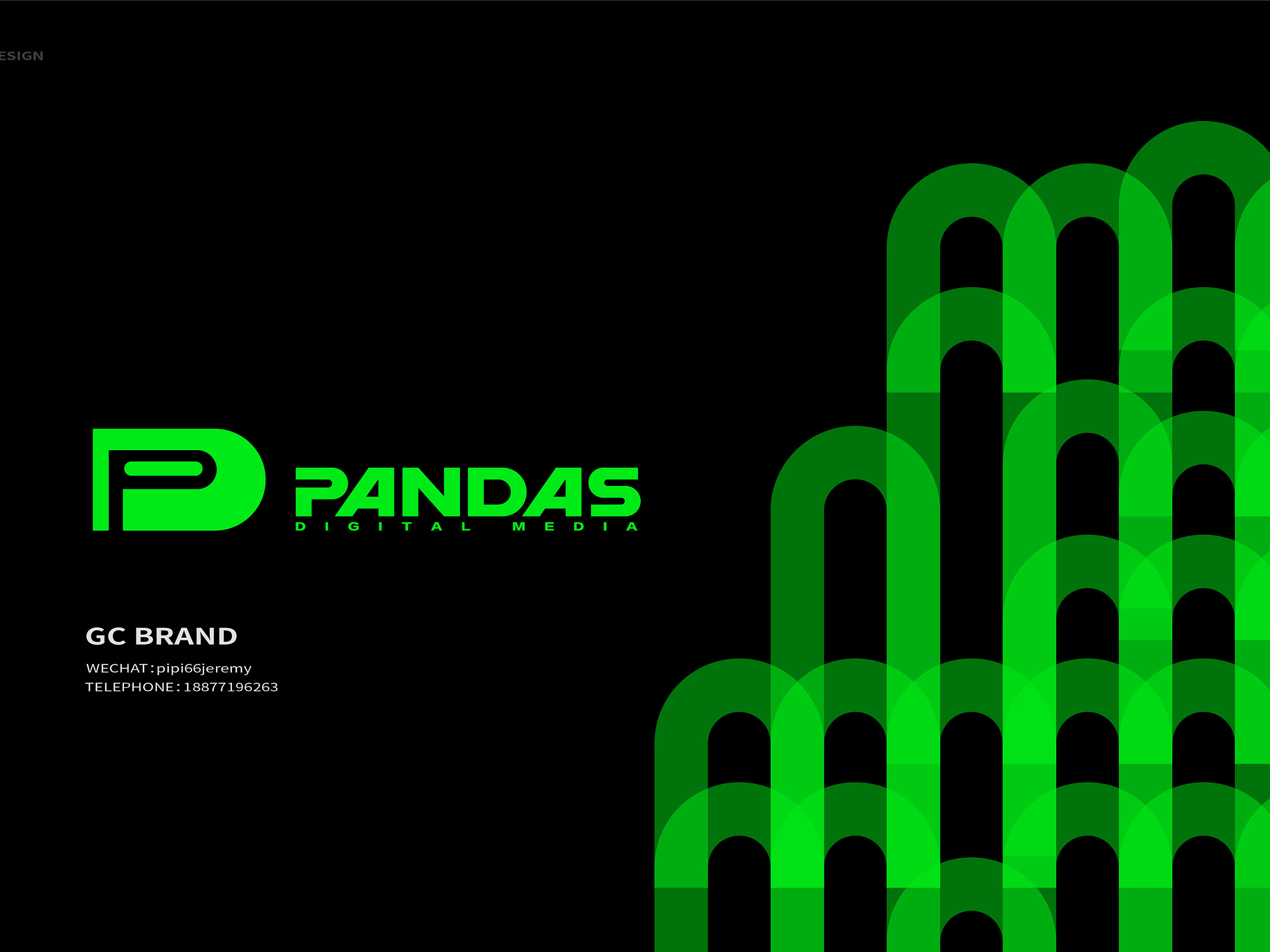 pandas logo 设计_呐喊品牌设计-站酷ZCOOL