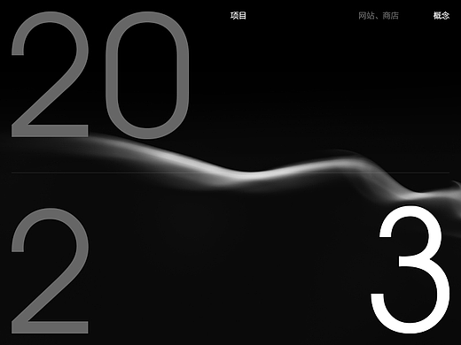 2023总结。项目，概念。
