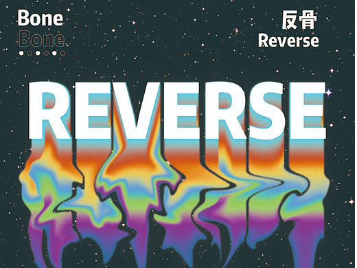 第11天作业