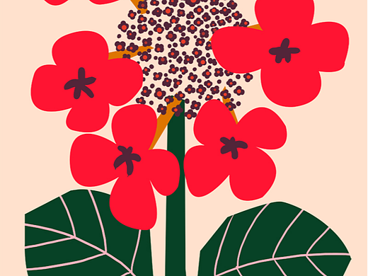 花卉插画设计 一株植物花朵绘画 装饰画  挂画