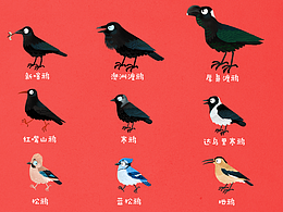 儿插