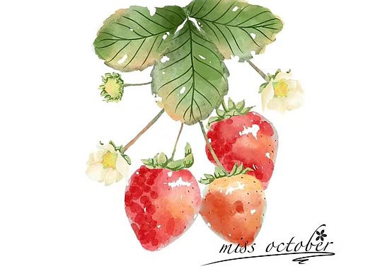 水彩插画水果