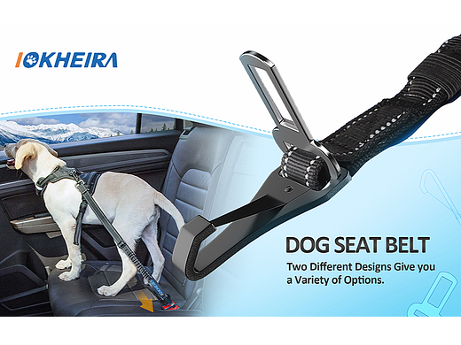 亚马逊 宠物用品 套图a+【2】