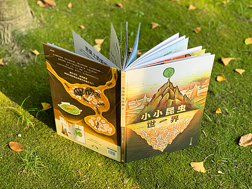书籍设计｜《小小昆虫世界》