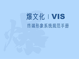 VIS手册