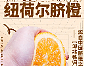脐橙详情