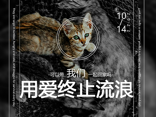 流浪救援（個(gè)人主頁-ZNjIzNzA4MzY=） - 海報(bào) - 站酷設(shè)計(jì)師Cool142原創(chuàng)素材 - 站酷ZCOOL
