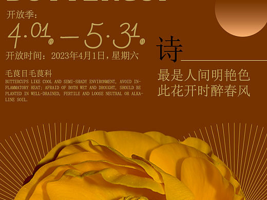 第七天 练习