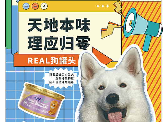 宠物食物打卡