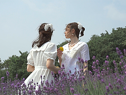 南法下的薰衣草