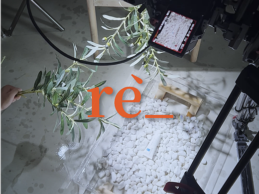 #创作加油站# 我看到的 vs 我拍到的｜发现美的瞬间