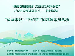 茯茶印记 活动物料延展设计