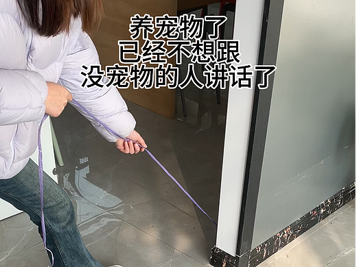 卡皮巴拉产品推广视频