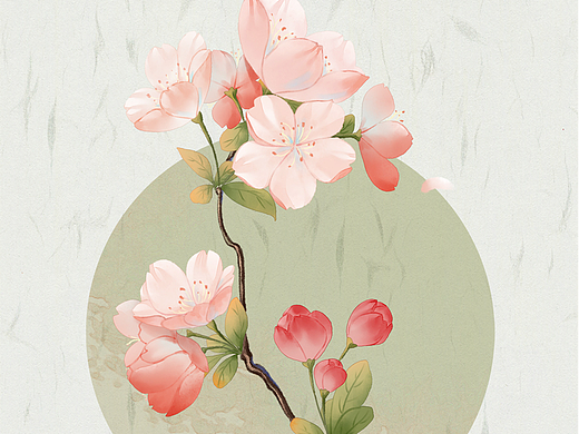 一树花枝