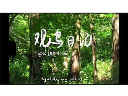 Adidas NEO 观鸟主题作品