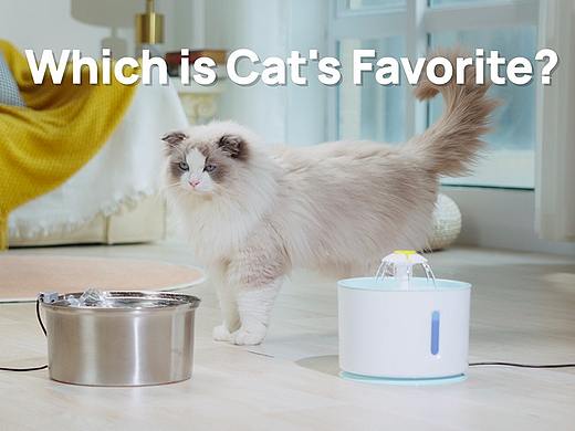 HICC Pet  猫猫喂水器广告视频