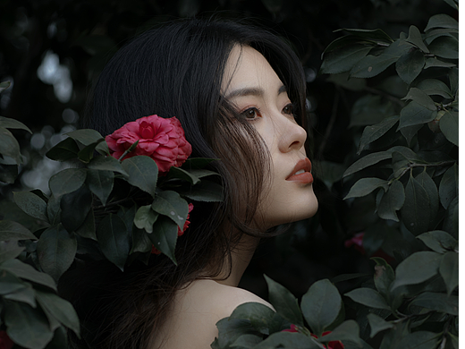 情景人像｜低调山茶花
