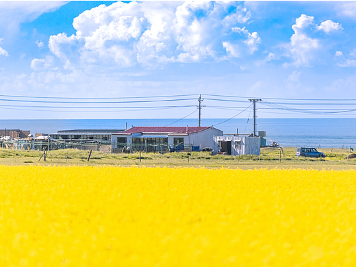 青海湖