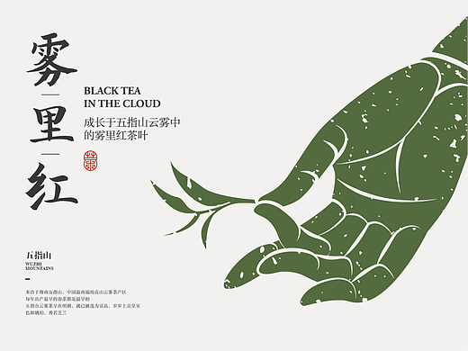 五指山 雾里红茶叶