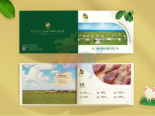 农产品画册设计和有机羊肉简约干净大气横版宣传册设计