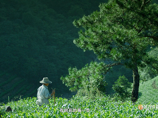 生物医药公司宣传片—郑州宣传片制作公司