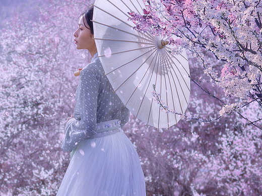 林芝桃花