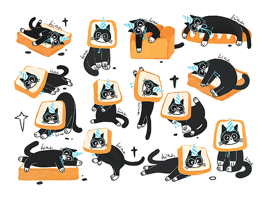 重生之假如我是一只猫