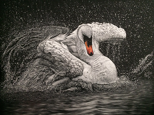 李子哥刮画作品《嬉水》