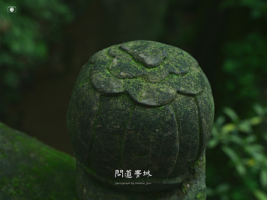 问道青城