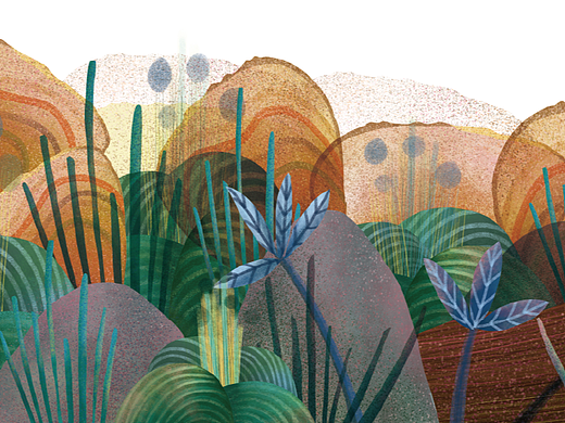 植物插画
