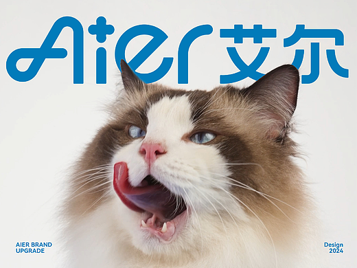 整点彩蛋X艾尔Aier宠物品牌全案升级